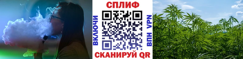 Купить закладки  Сольцы  Марихуана Ganja 